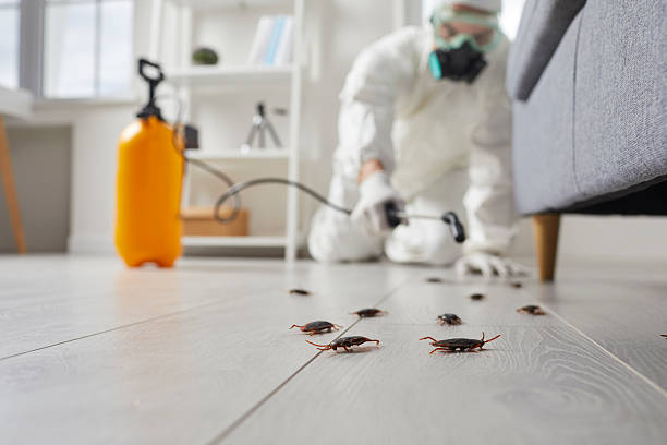 Commercial Kitchen Cockroach Control in Penns Grove
