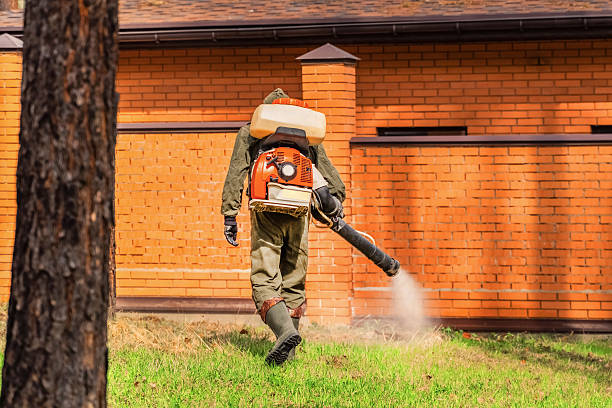 Cockroach Follow-Up and Monitoring in Penns Grove